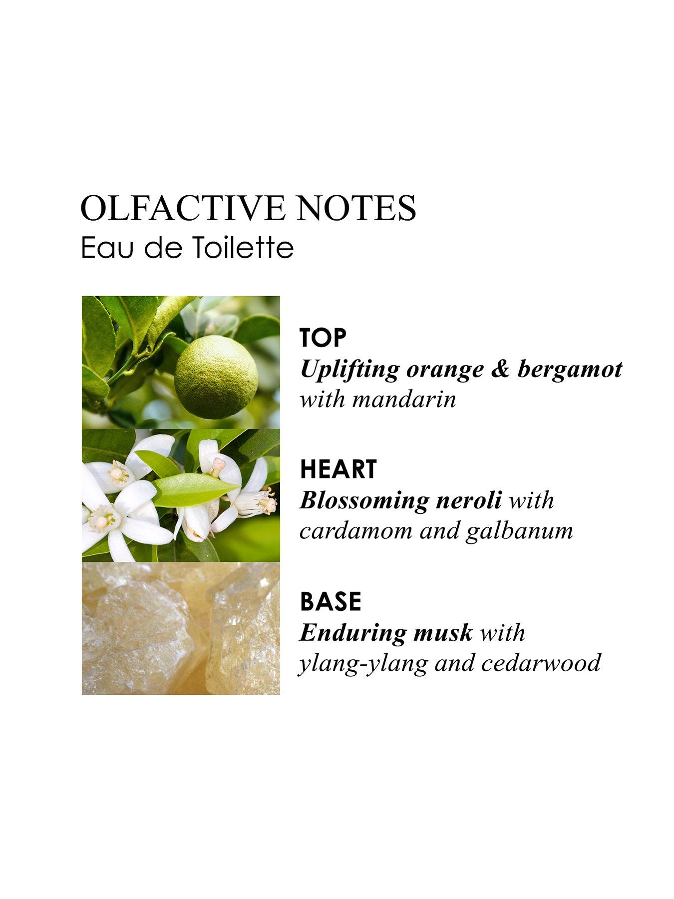 Orange Bergamot Eau de Toilette 100 ml