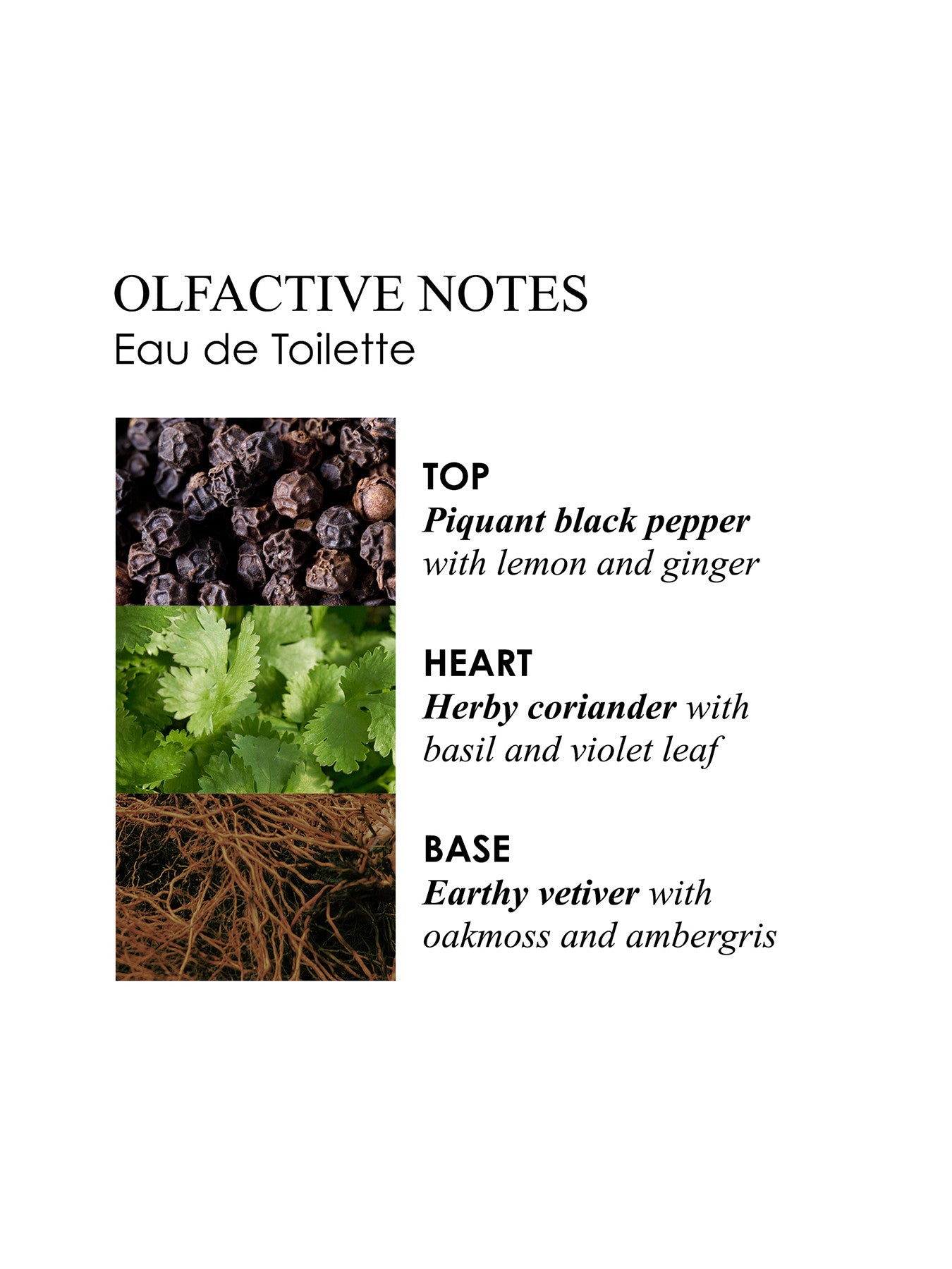 Re-charge Black Pepper Eau de Toilette 100 ml