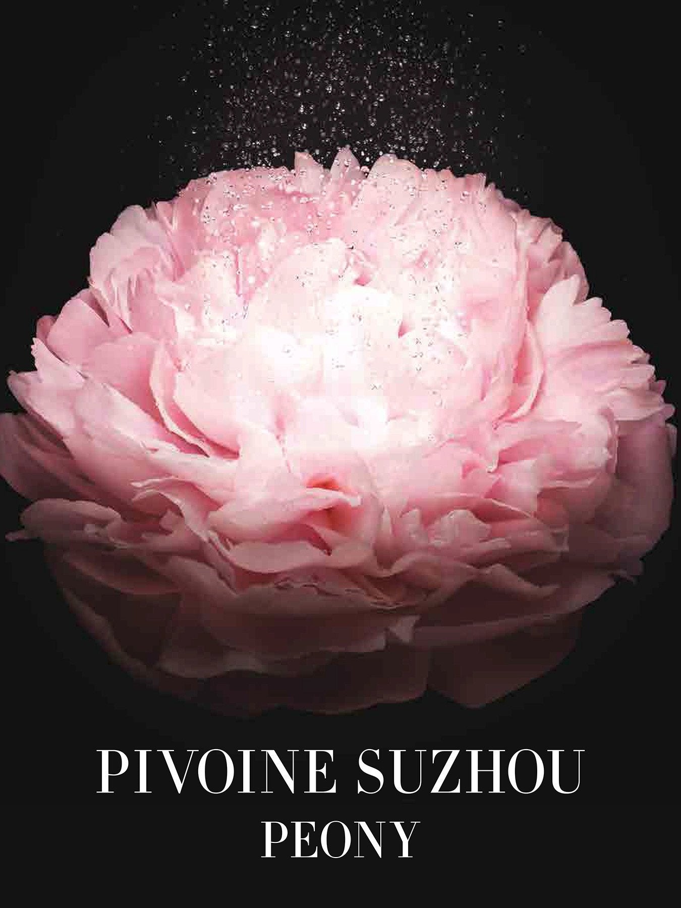 Privé Pivoine Suzhou Eau de Toilette 50ml