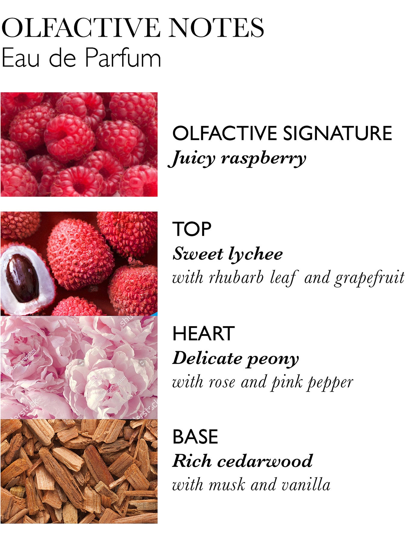 Rhubarb and Rose Eau de Parfum 100ml