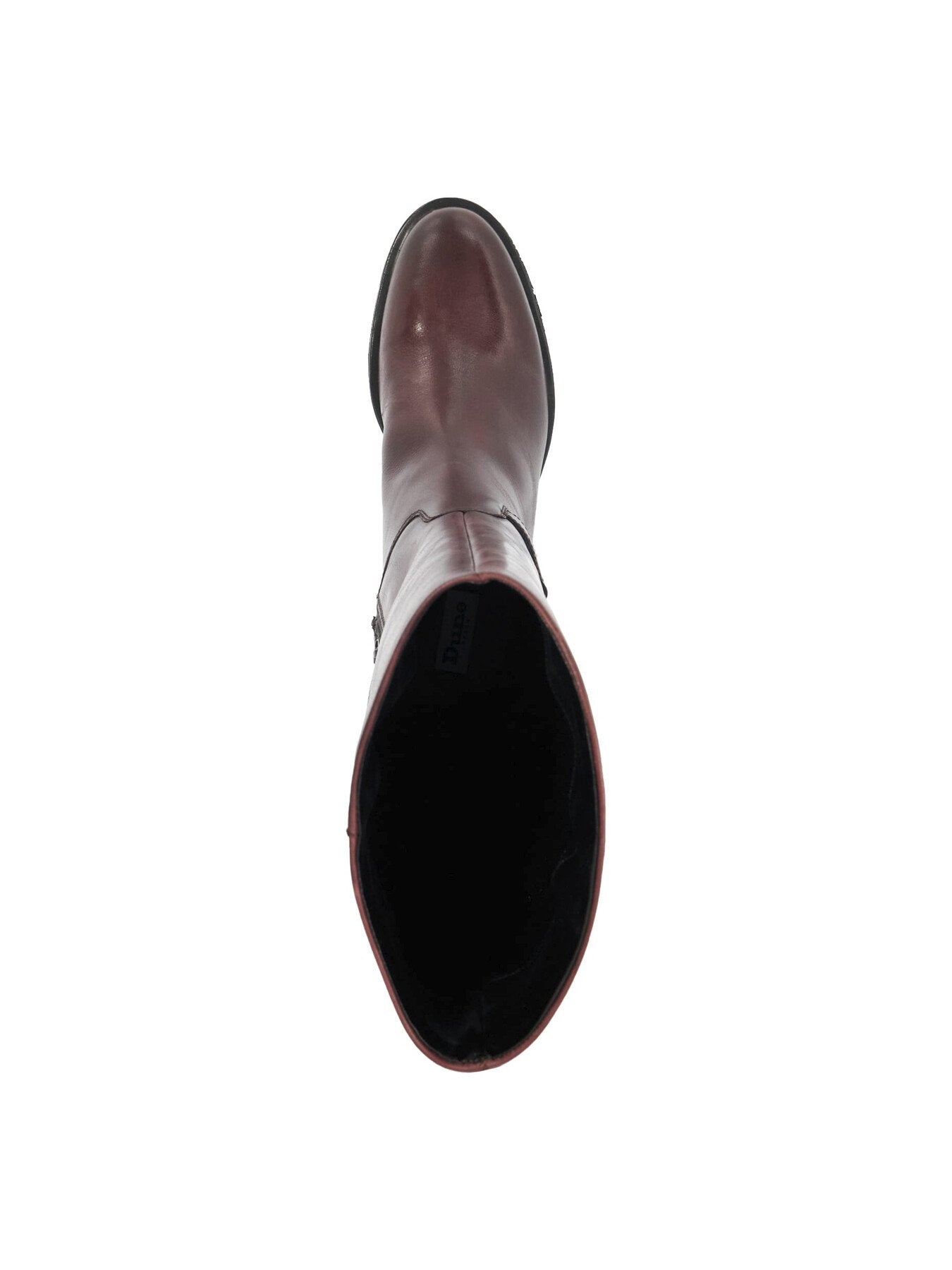 TUCCI
