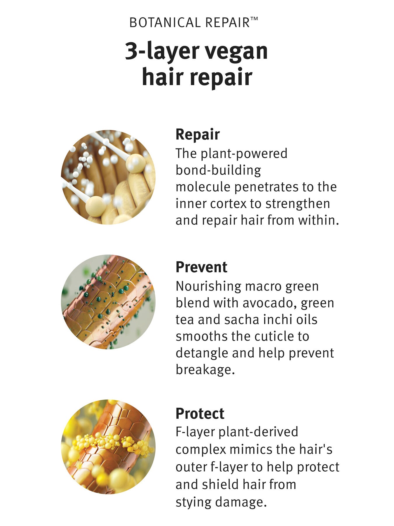 Botanical Bond Repair Conditioner 40ml