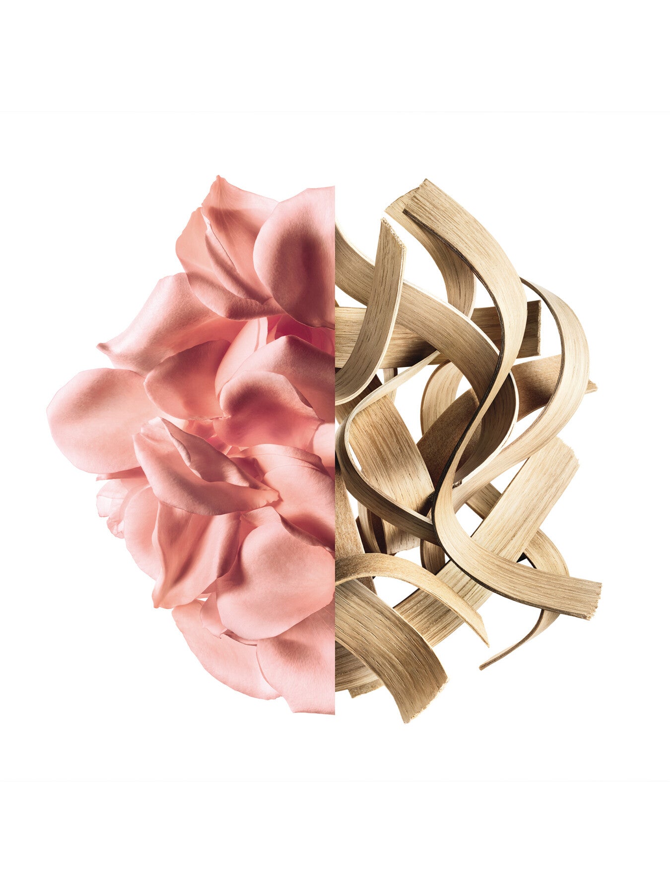 Irresistible Eau de Parfum Rose Velvet 50ml