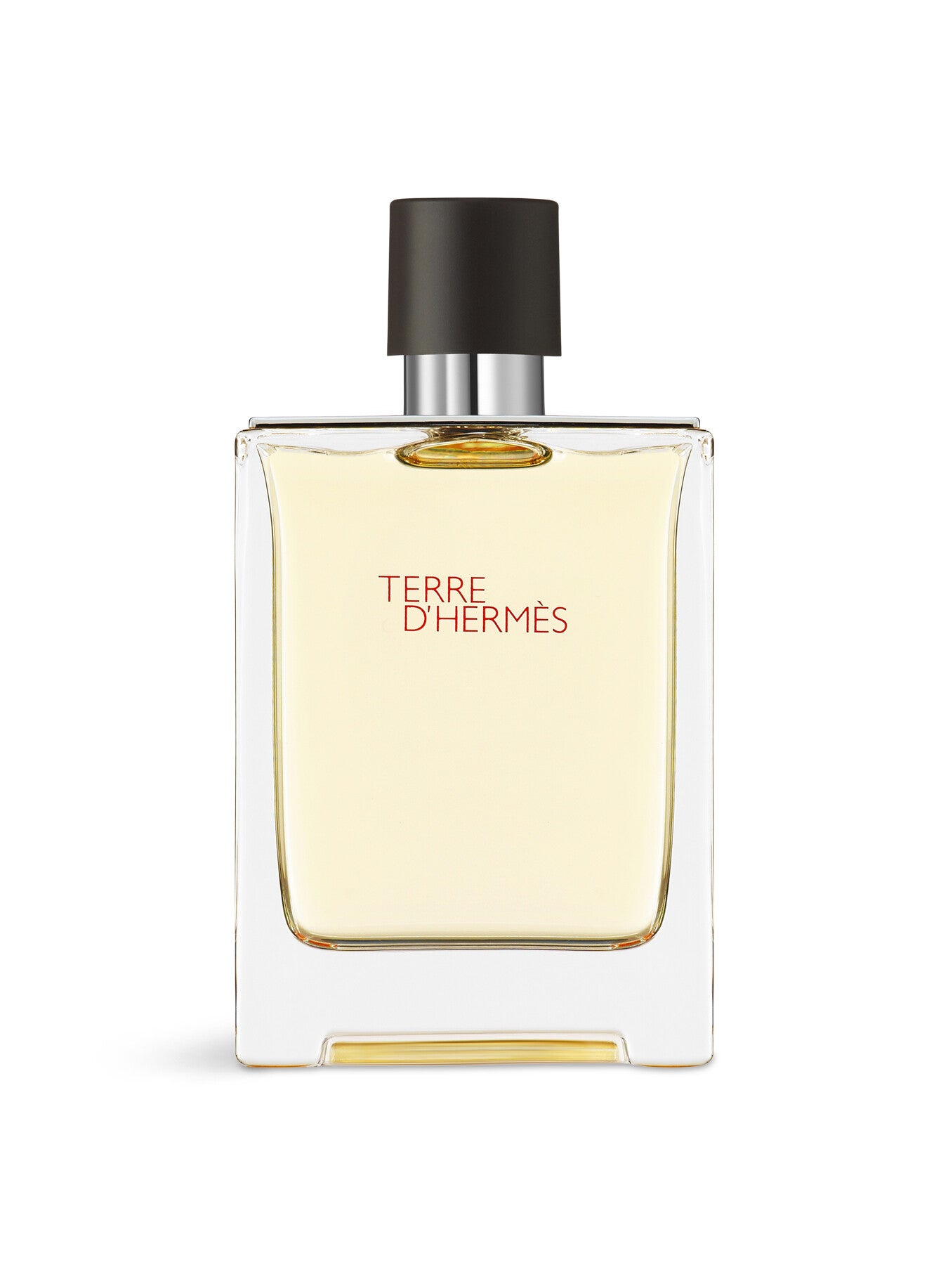 Terre dHermès Eau de Toilette 100ml