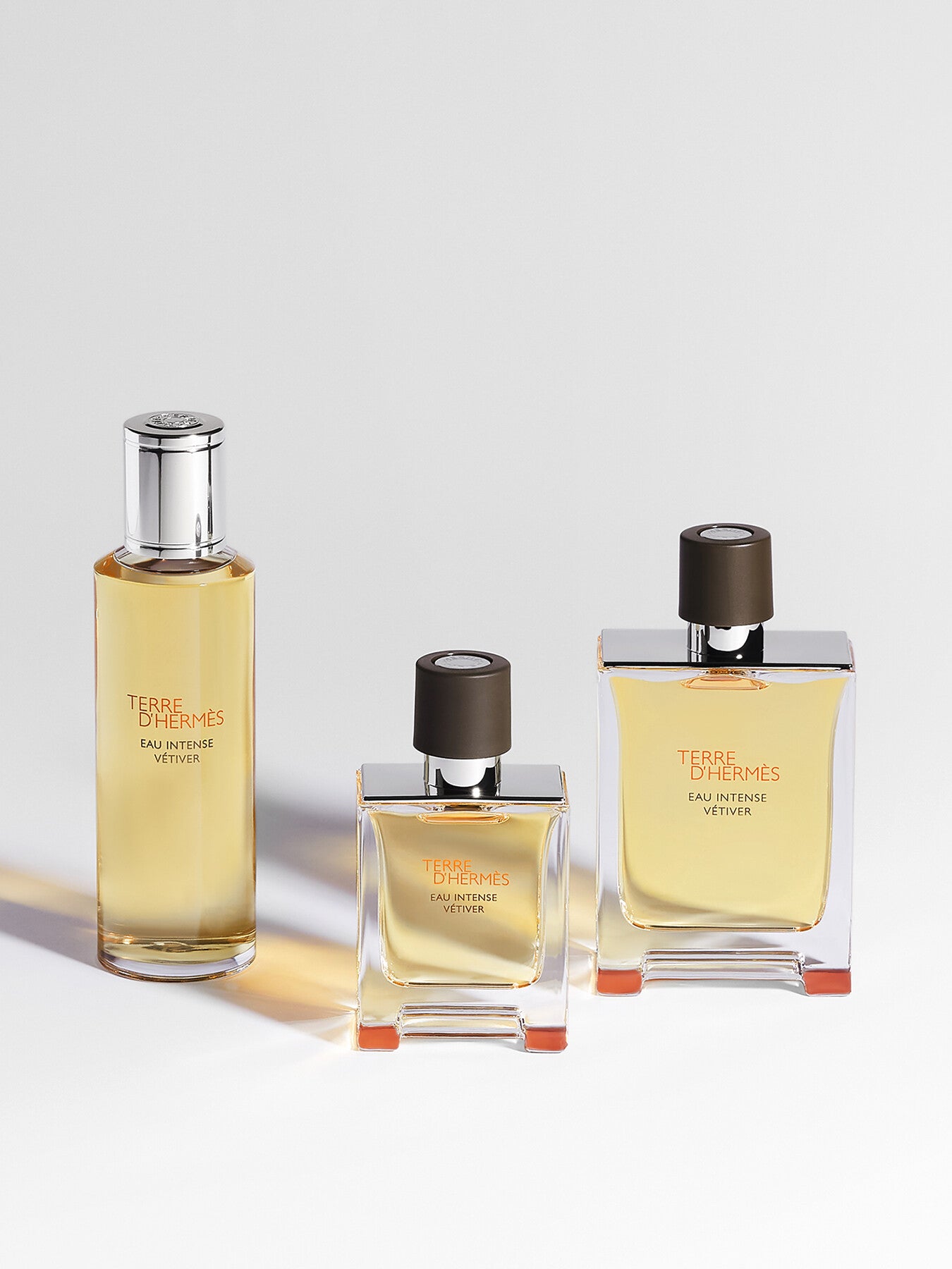 Terre dHermès Eau Intense Vétiver Eau de Parfum 100ml