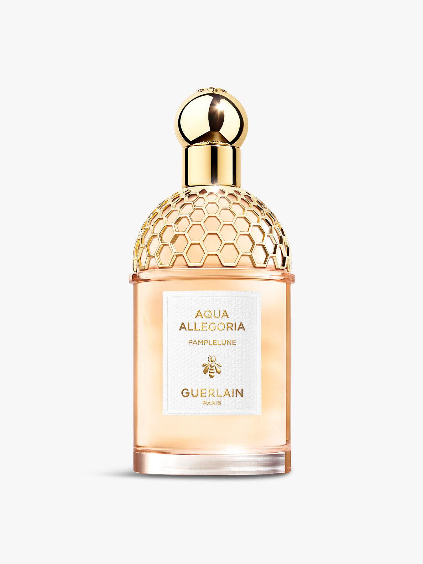 Aqua Allegoria Pamplune Eau de Toilette 125ml