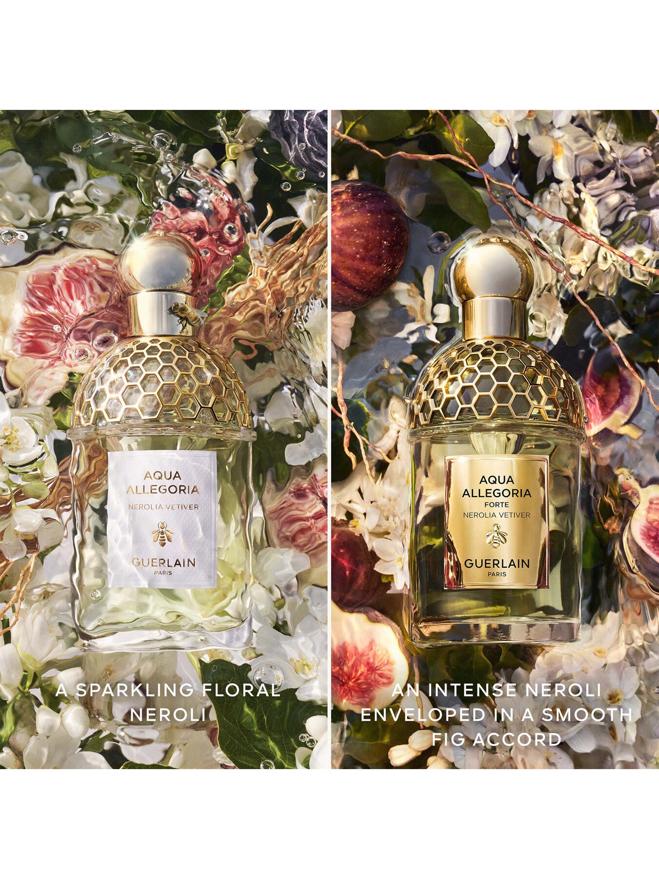 Aqua Allegoria Forte Nerolia Vetiver Eau de Parfum 125ml