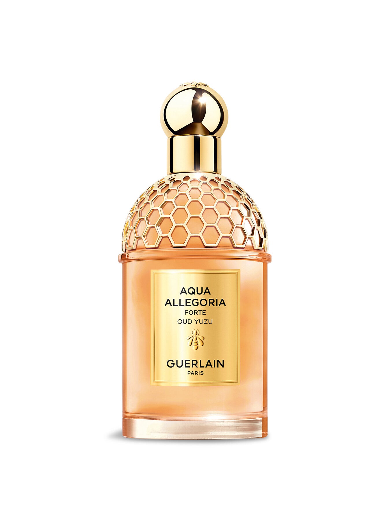 Aqua Allegoria Woodies Oud Yuzu Eau de Parfum 125ml