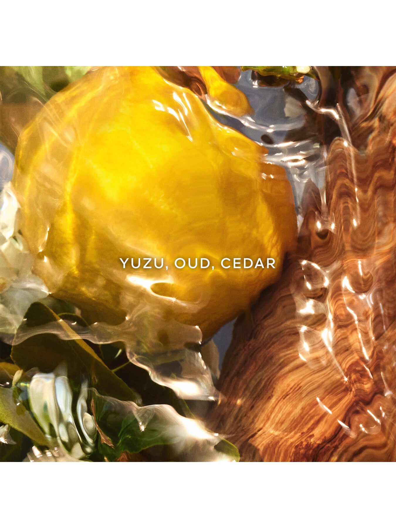 Aqua Allegoria Woodies Oud Yuzu Eau de Parfum 125ml
