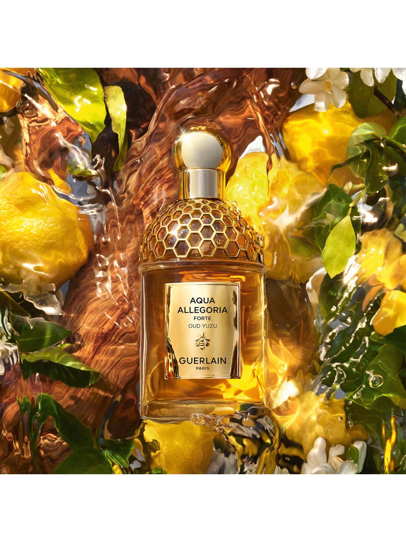 Aqua Allegoria Woodies Oud Yuzu Eau de Parfum 125ml