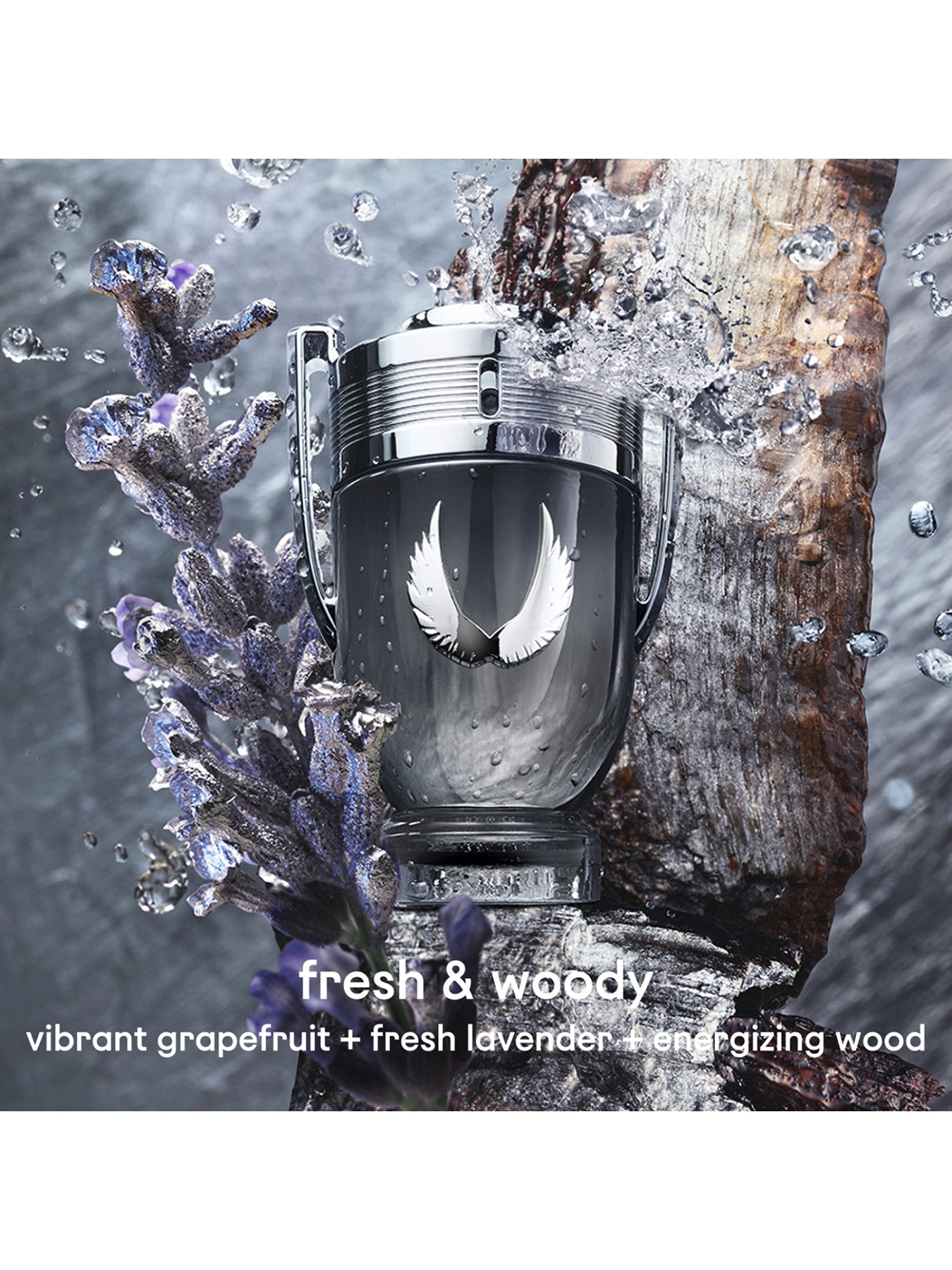 Invictus Platinum Eau de Parfum 200ml