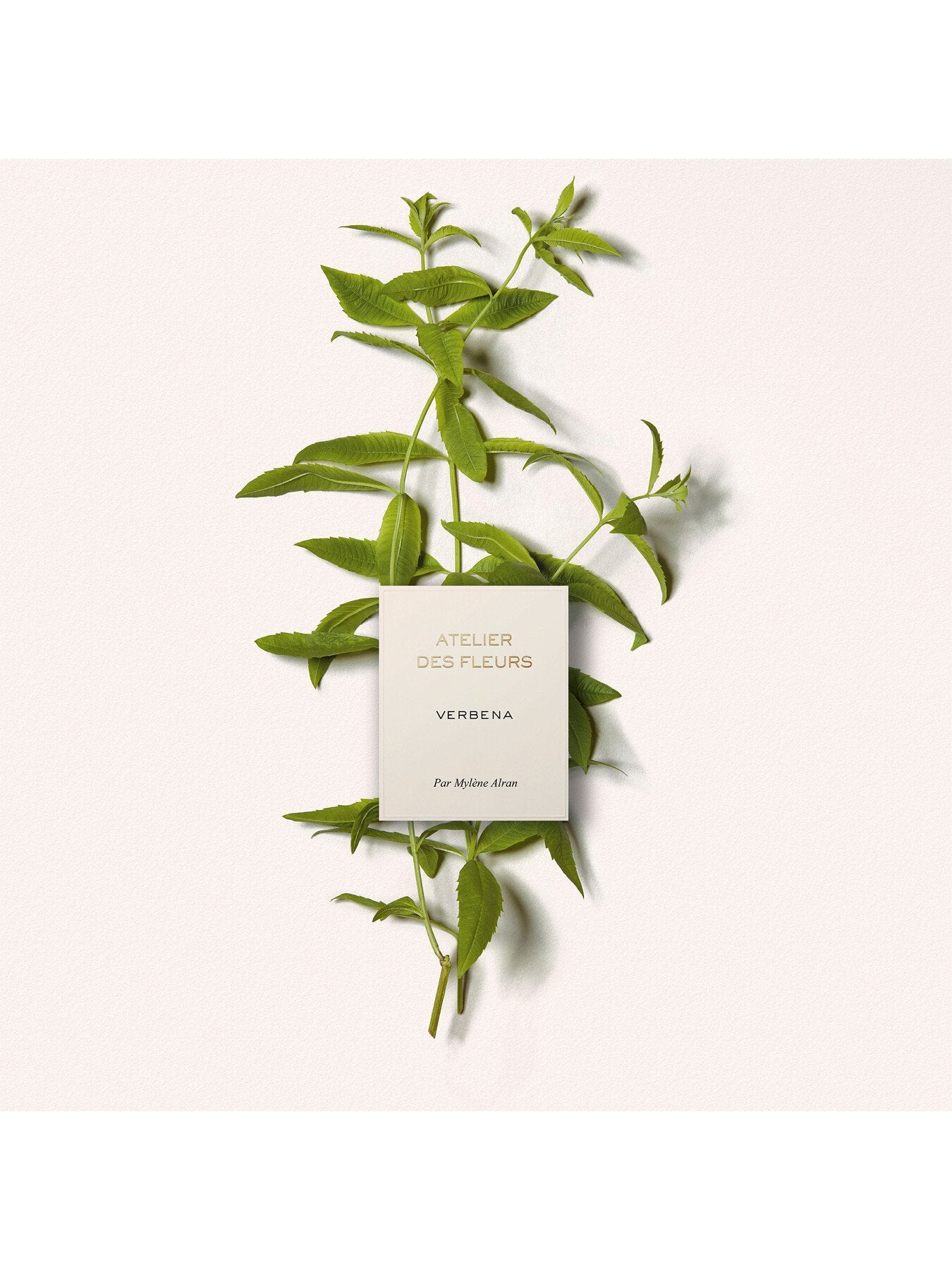 Atelier Des Fleurs Verbena Eau de Parfum 50ml