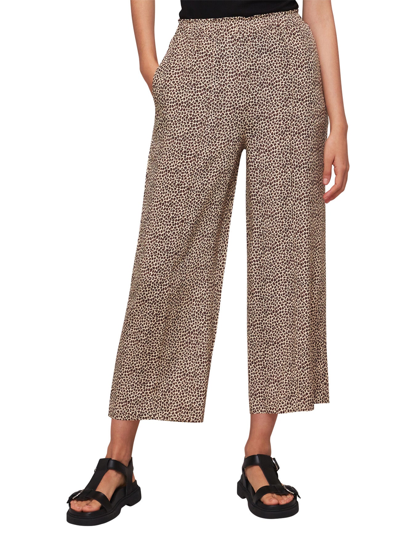 Dashed Trouser