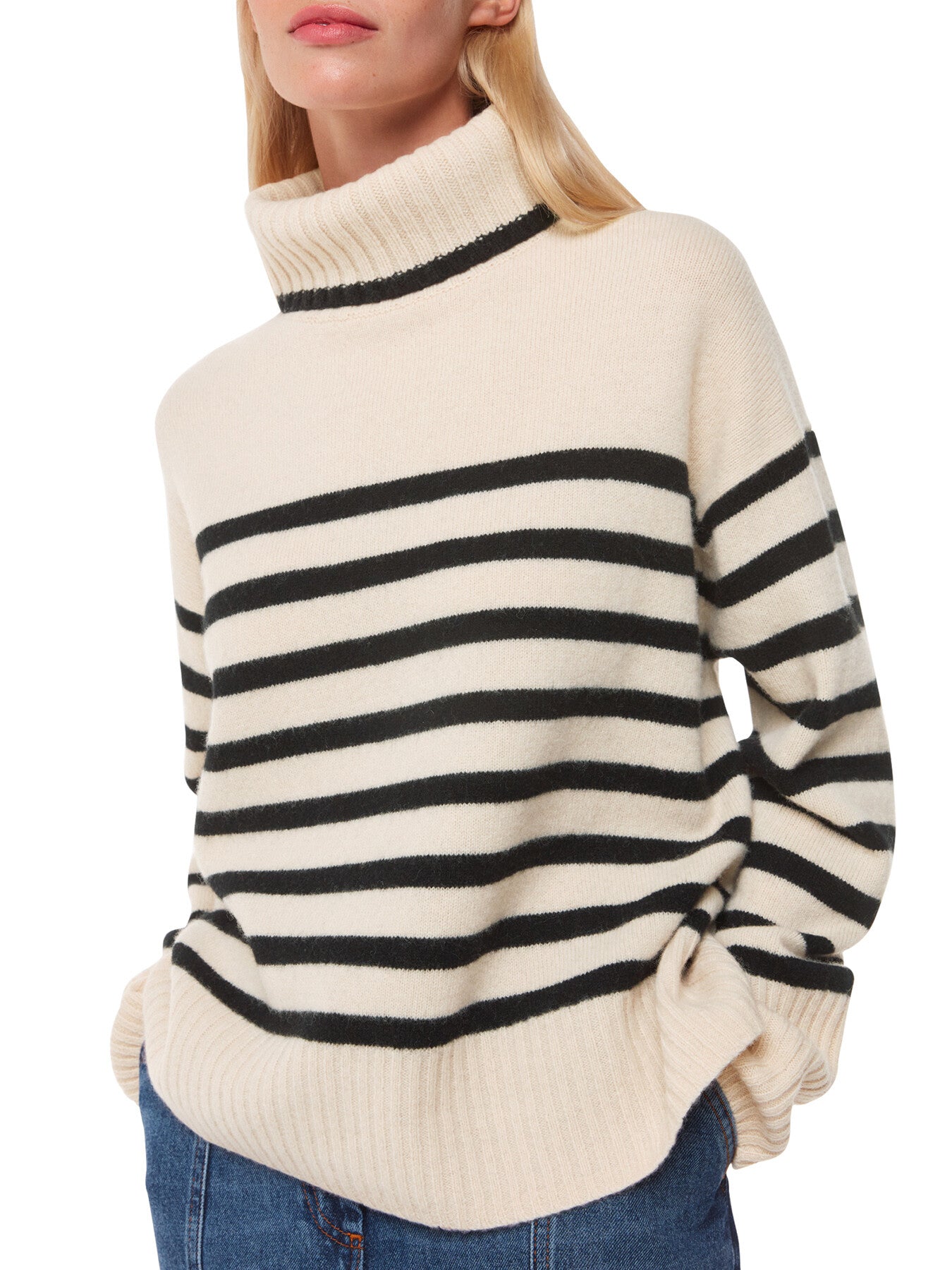 Stripe Wool Roll Neck