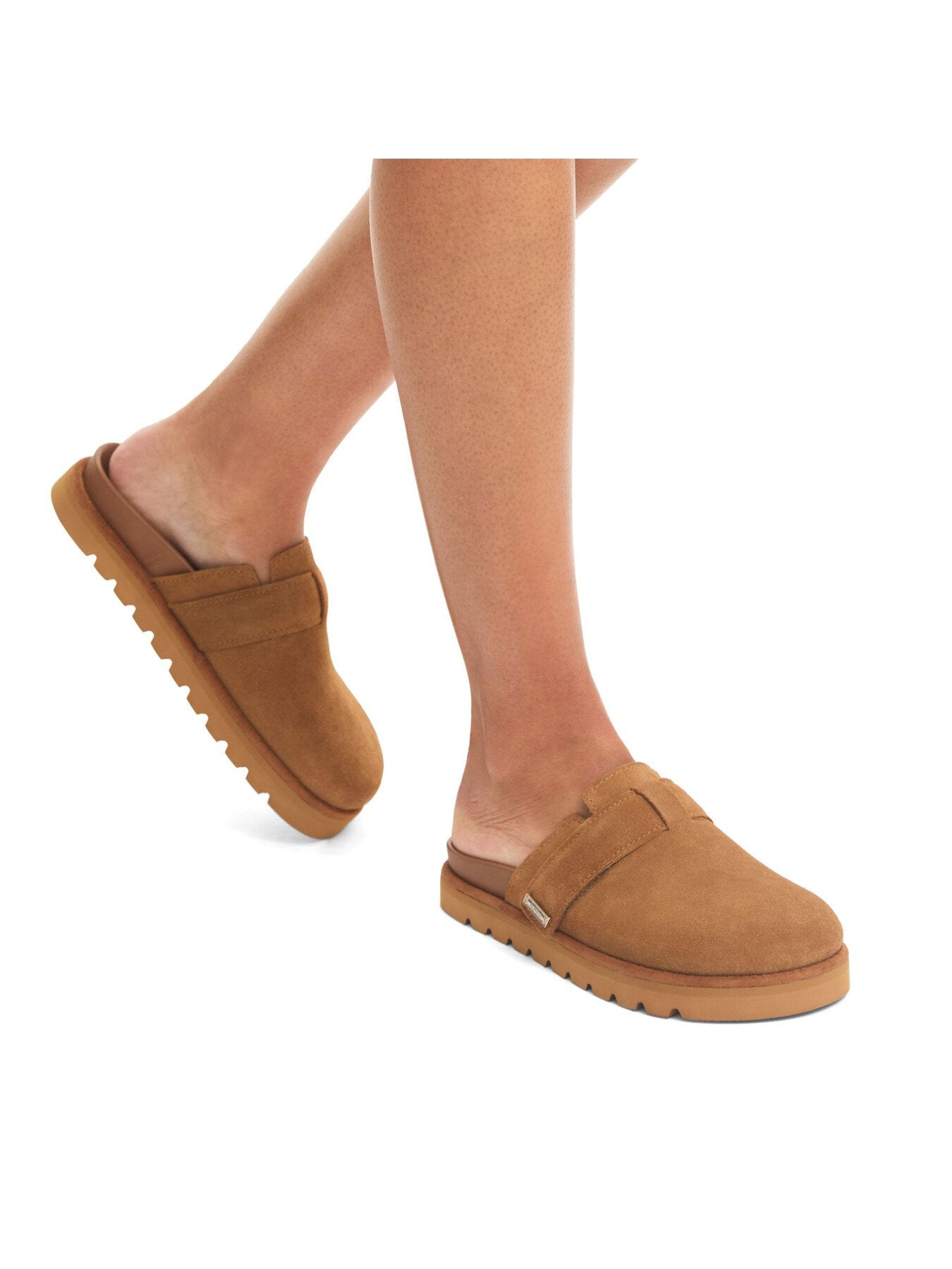 DAZZLE MULE