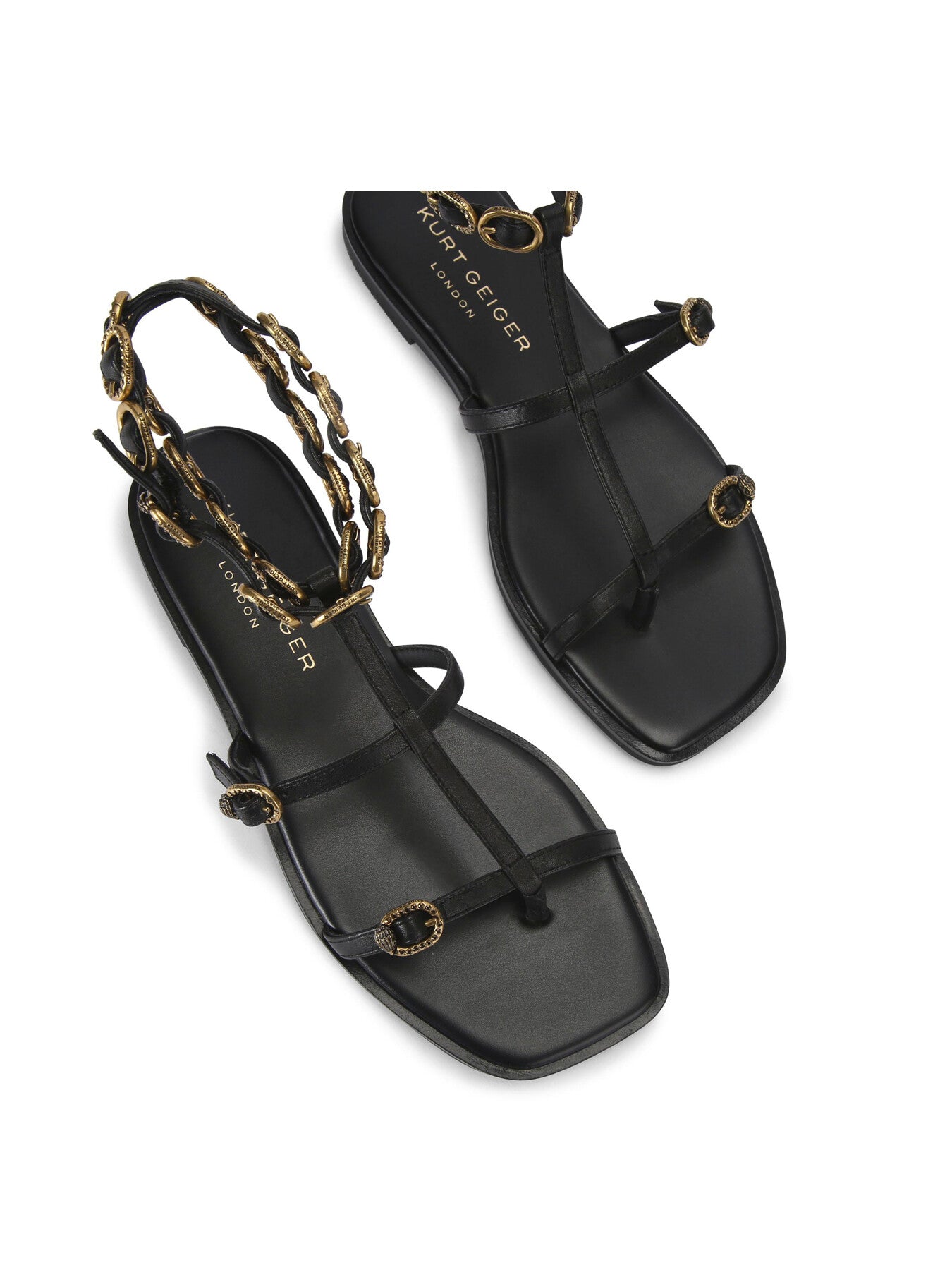 REGENT FLAT GLADIATOR