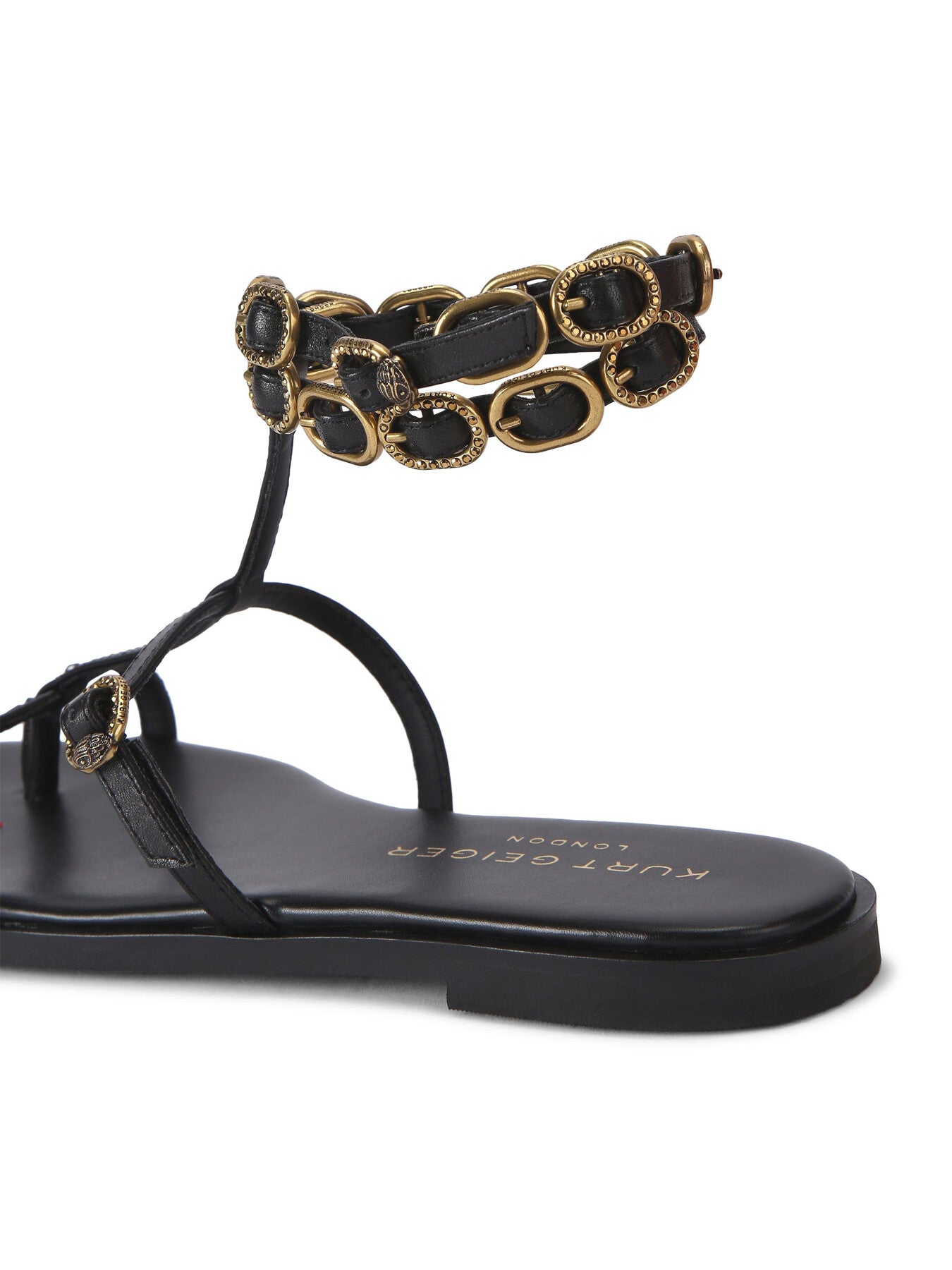 REGENT FLAT GLADIATOR