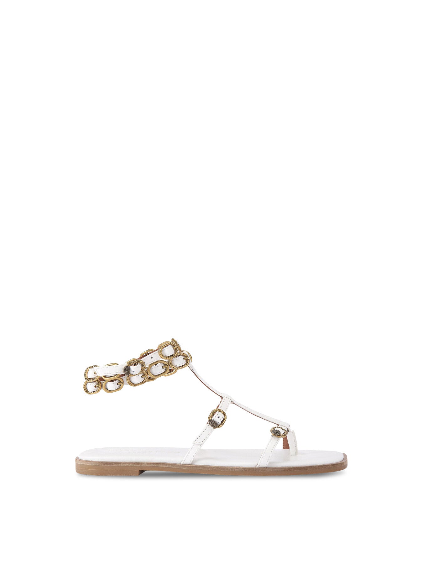 REGENT FLAT GLADIATOR