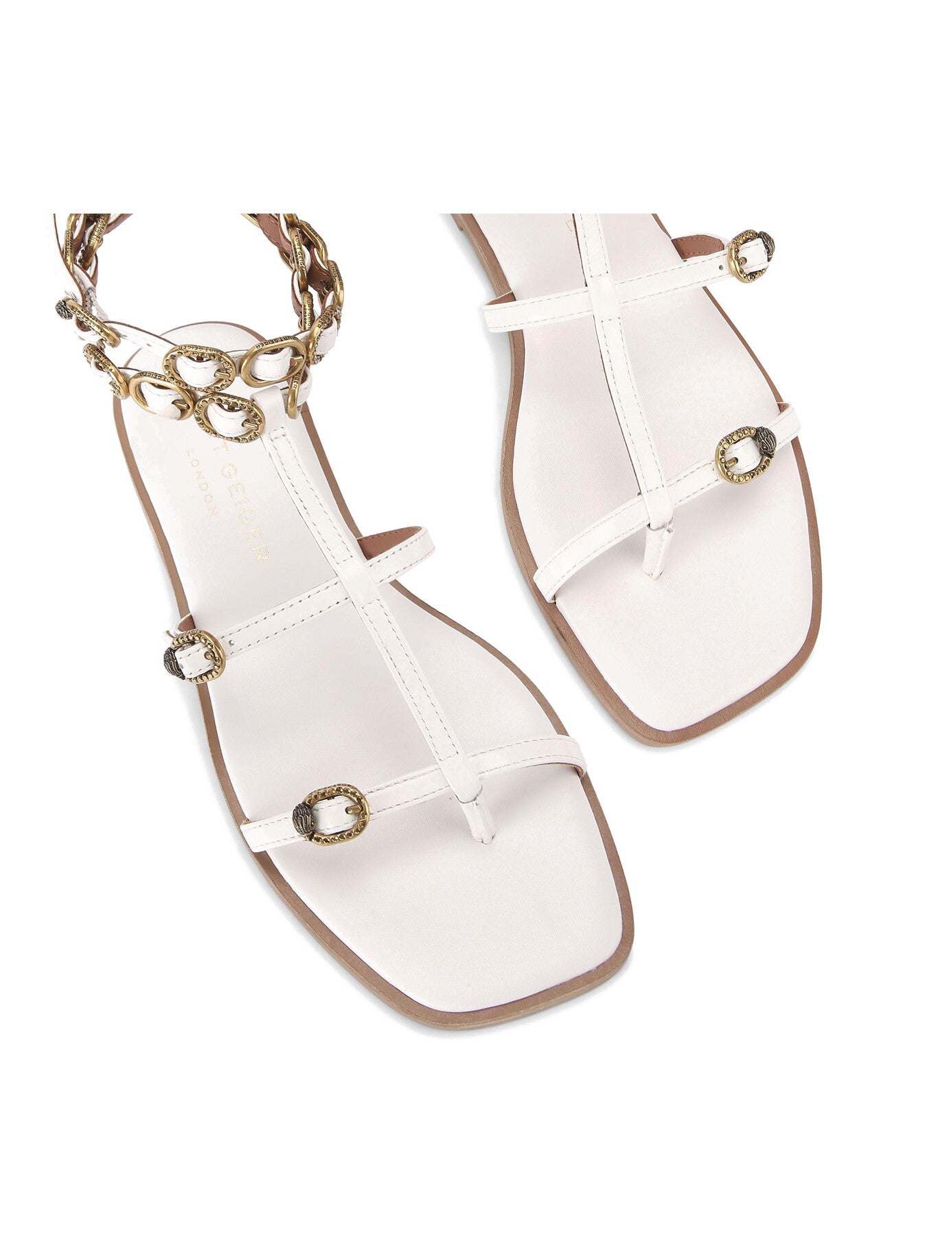 REGENT FLAT GLADIATOR