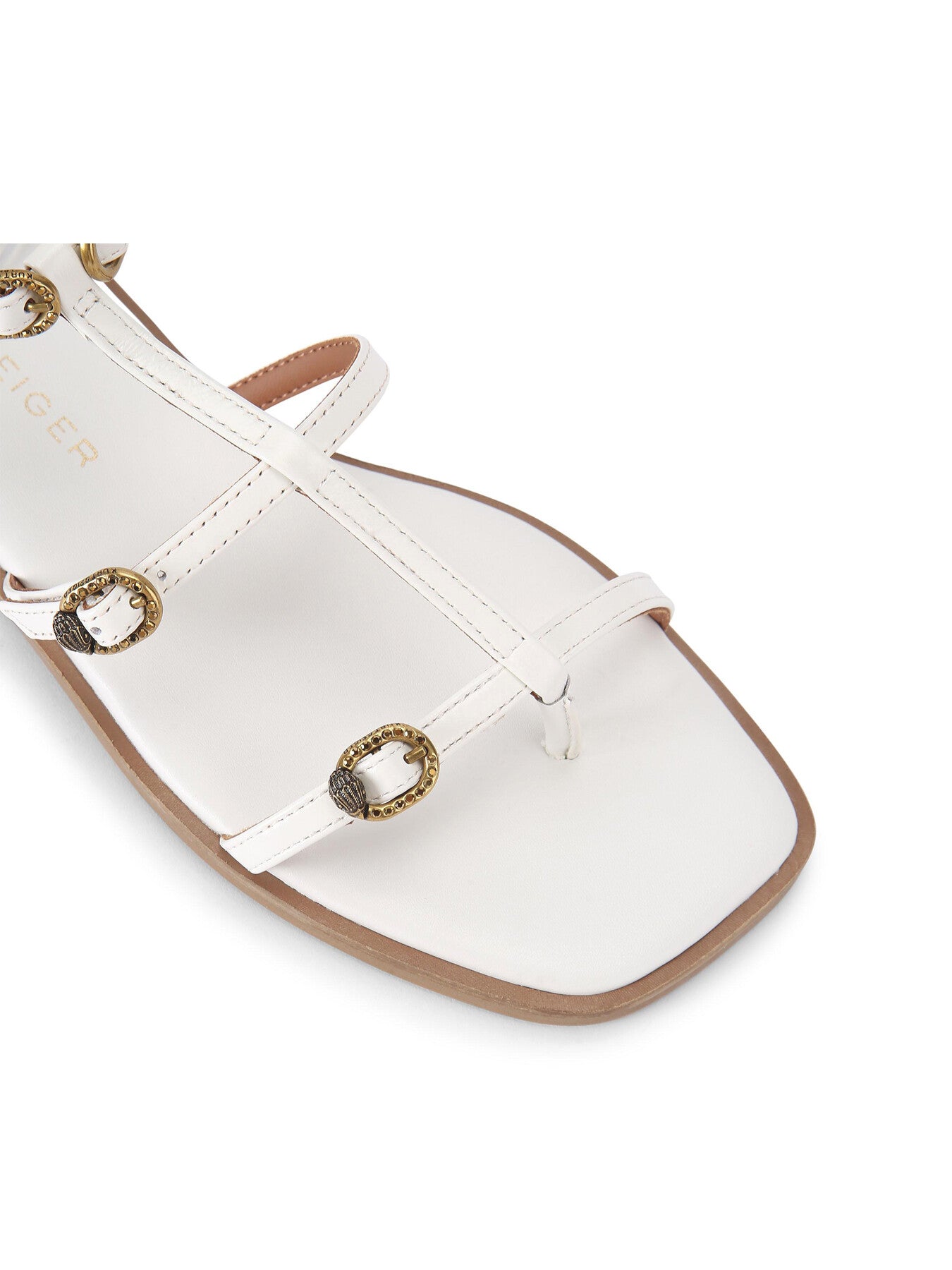 REGENT FLAT GLADIATOR