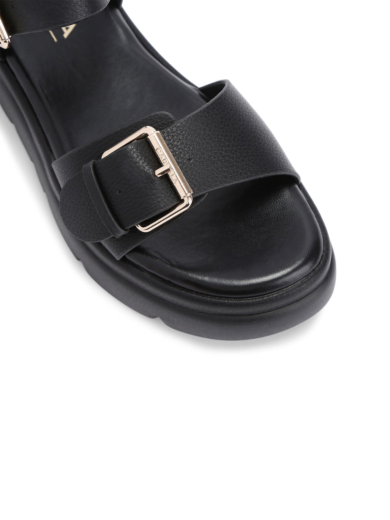 KRYPTON BUCKLE