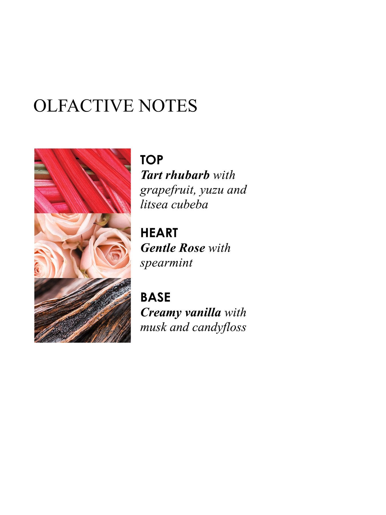 Delicious Rhubarb Rose Signature Scented Candle Single Wick 190g