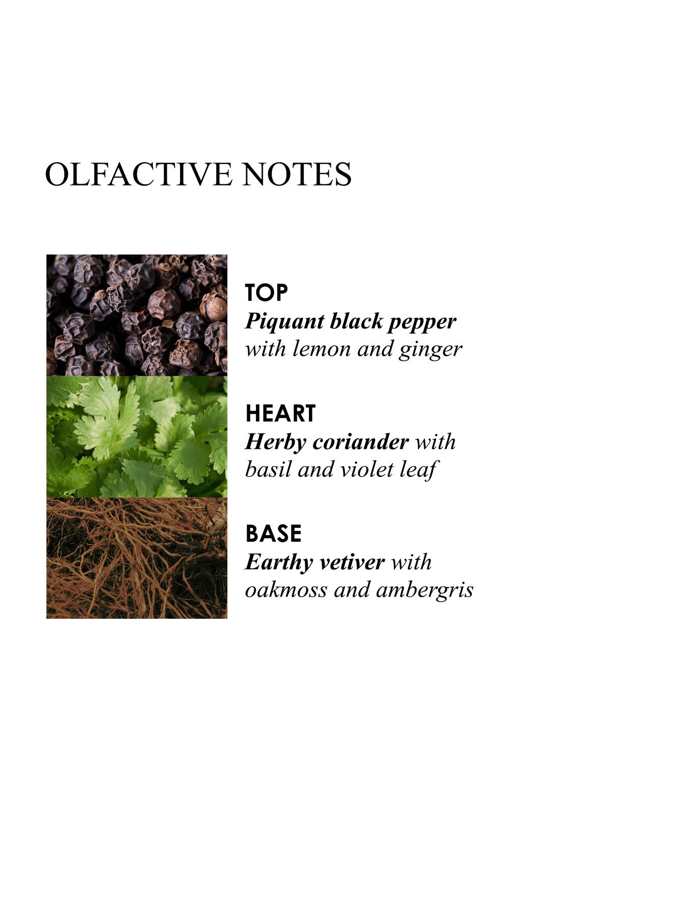 Re-Charge Black Pepper Signature Scented Candle Single Wick 190g