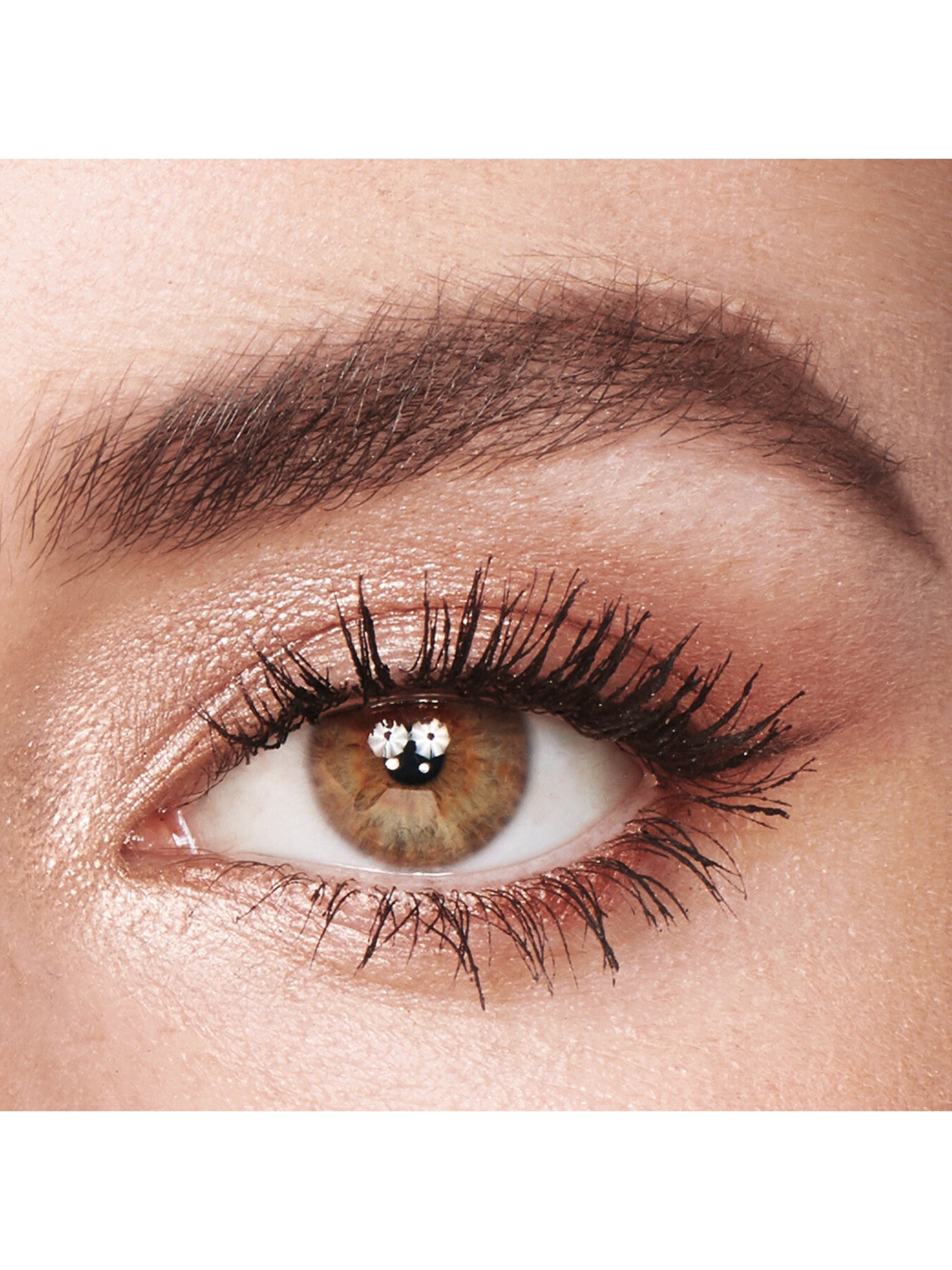 Bigger Brighter Eyes Palette