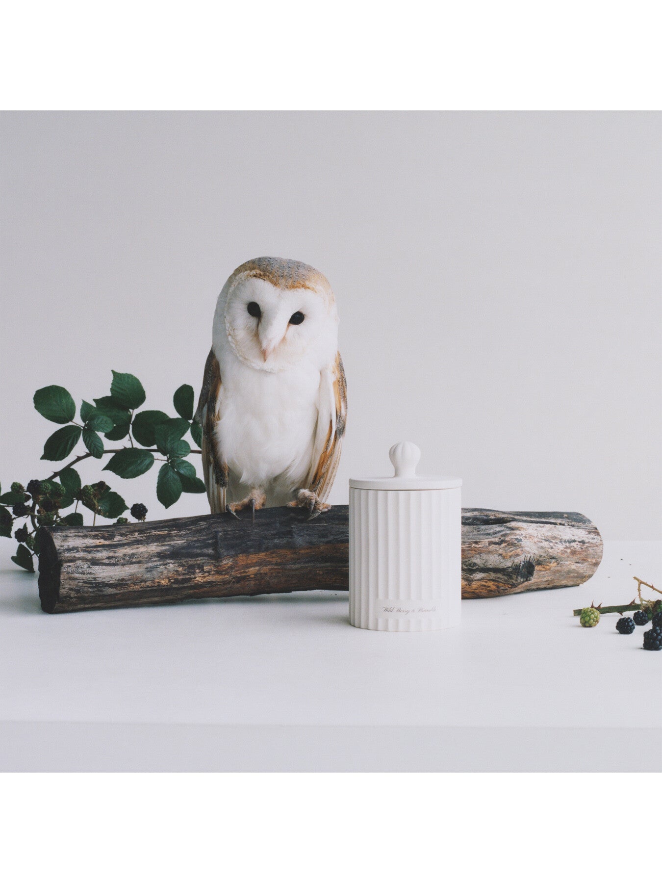Jo Malone London Wild Berry & Bramble Townhouse Candle