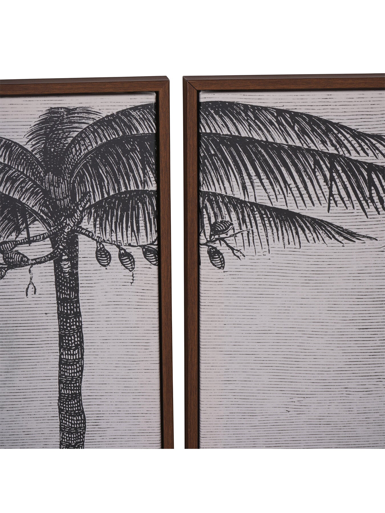 Palm Set of Four Framed Canvas