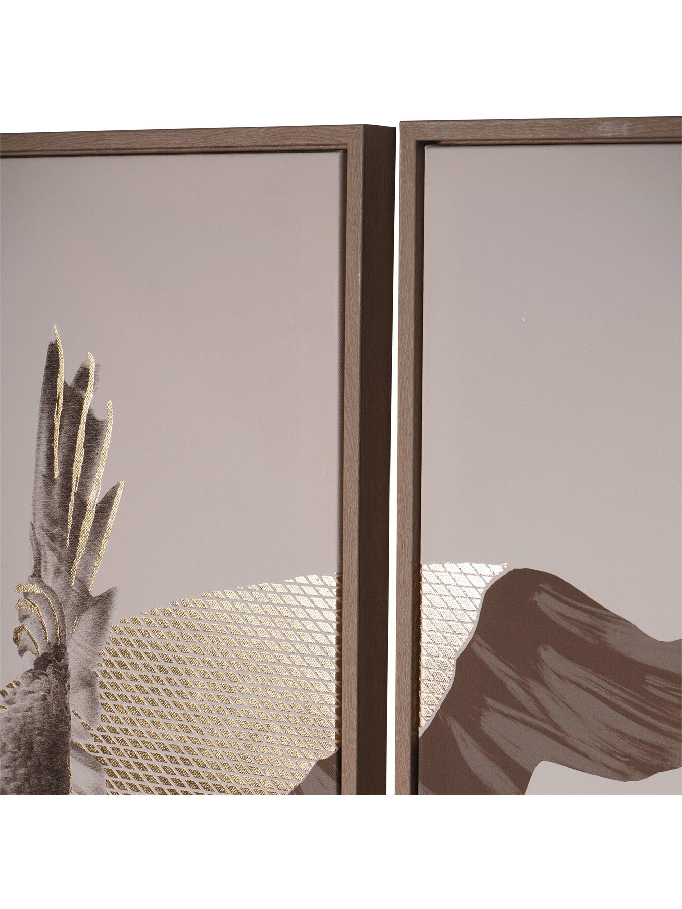 Framed Tropical Birds 3 Piece Canvas