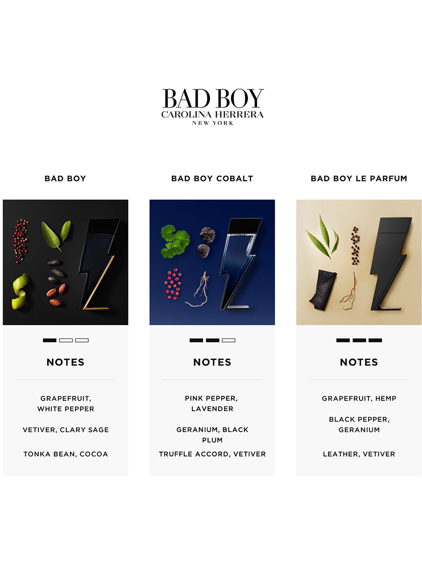 Bad Boy Cobalt Eau de Parfum 50ml