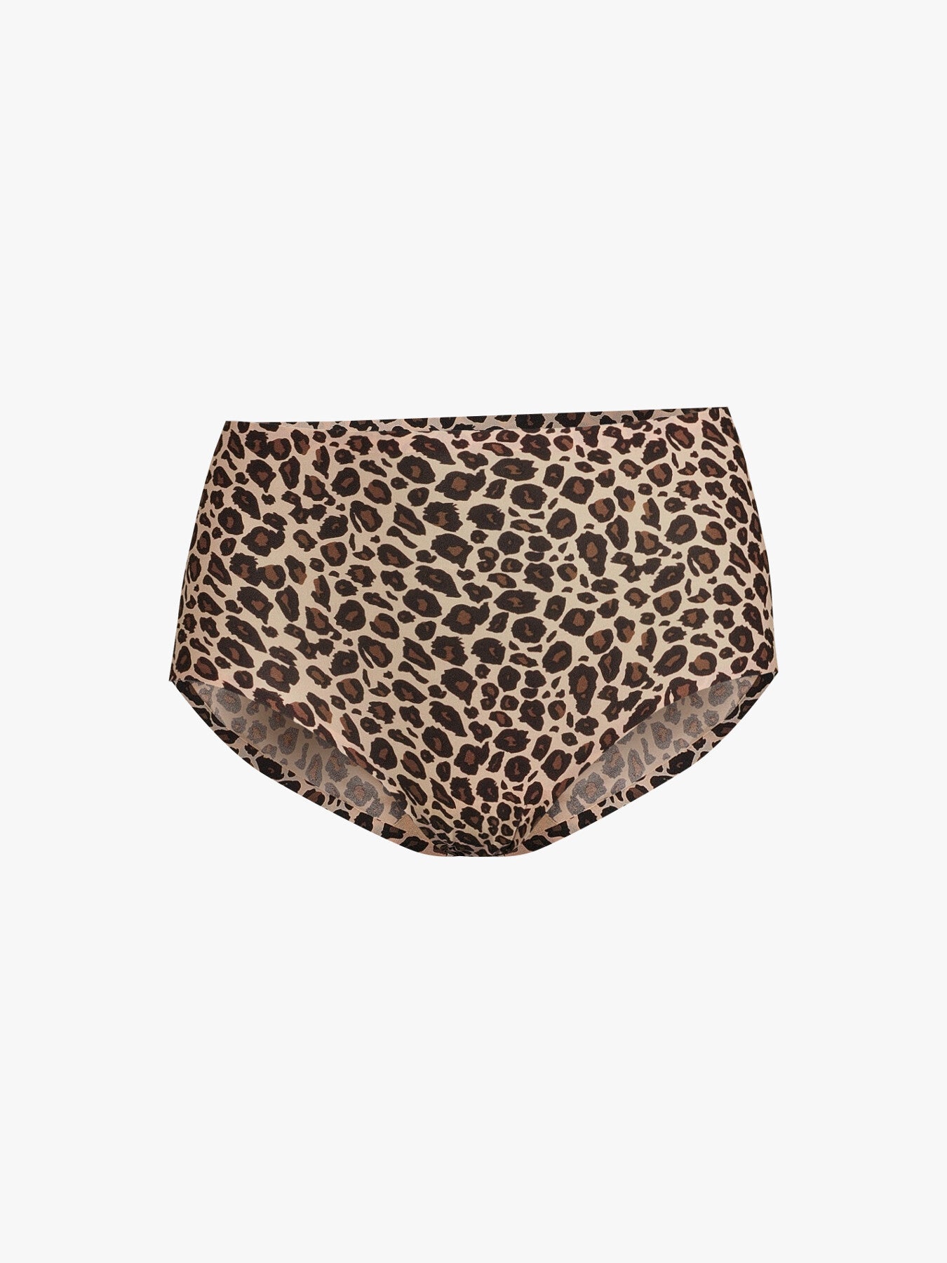Soft Stretch High Waisted Brief