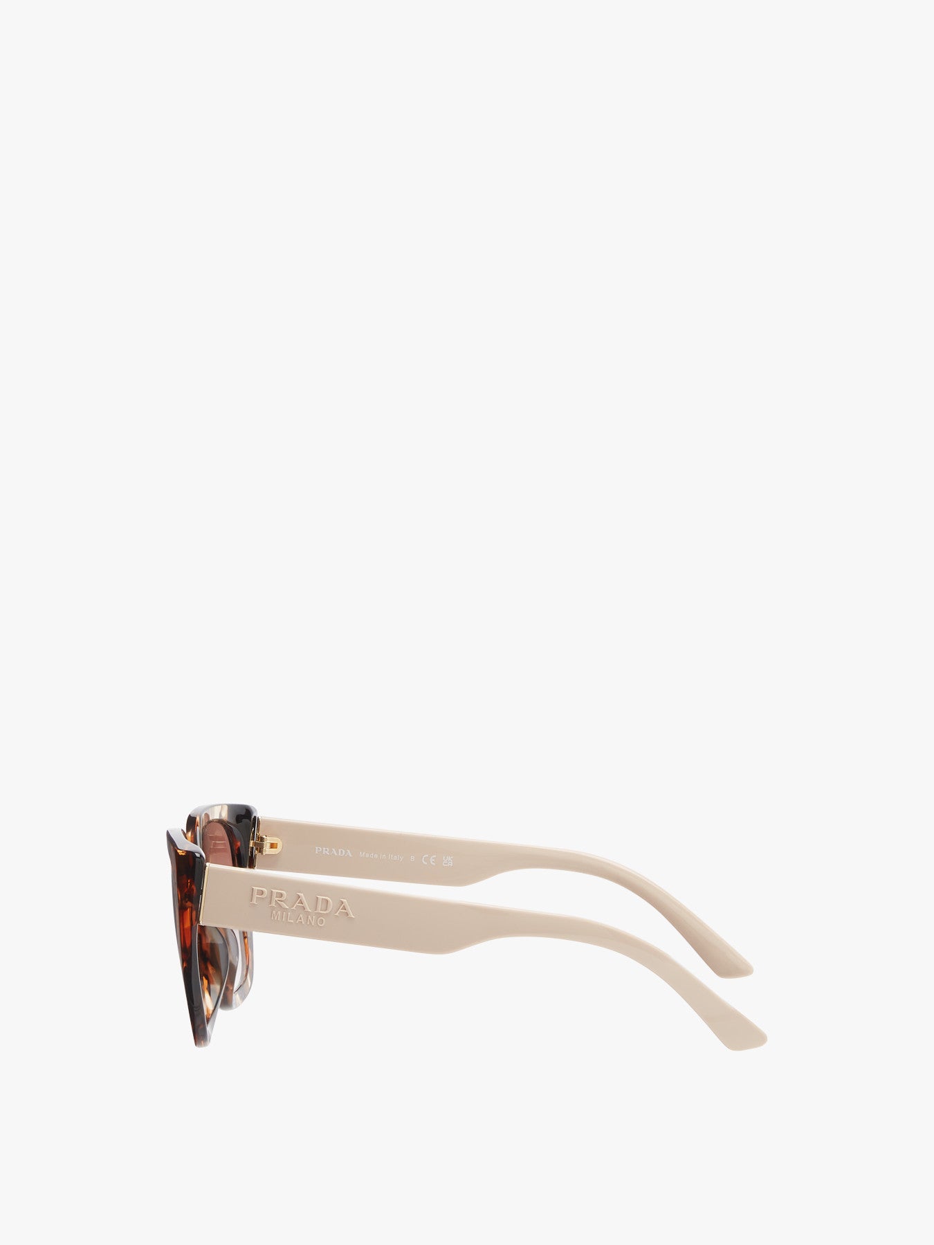 Oversized Cat Eye Contrast Arm Acetate Sunglasses