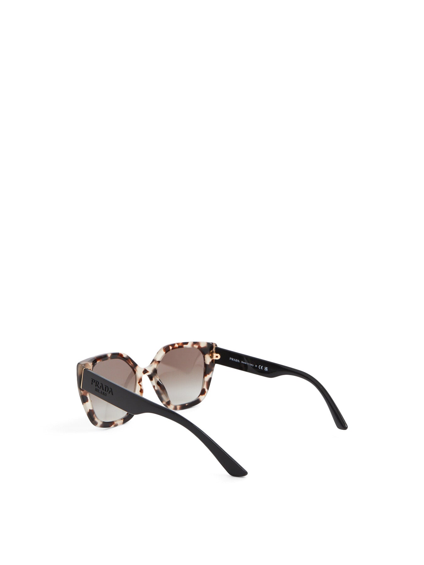 Oversized Cat Eye Contrast Arm Acetate Sunglasses