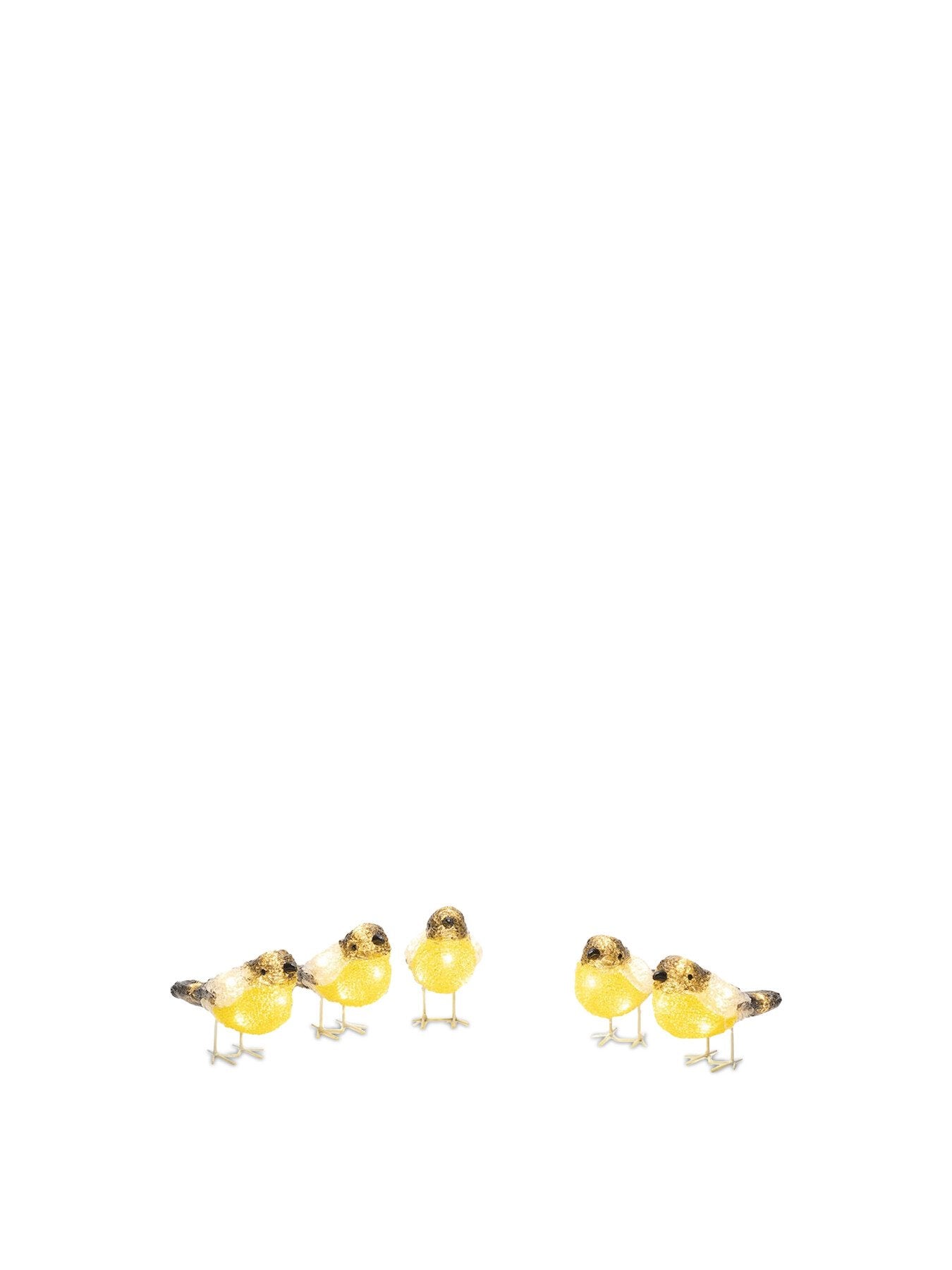 Acrylic Birds 5pcsSet White LED