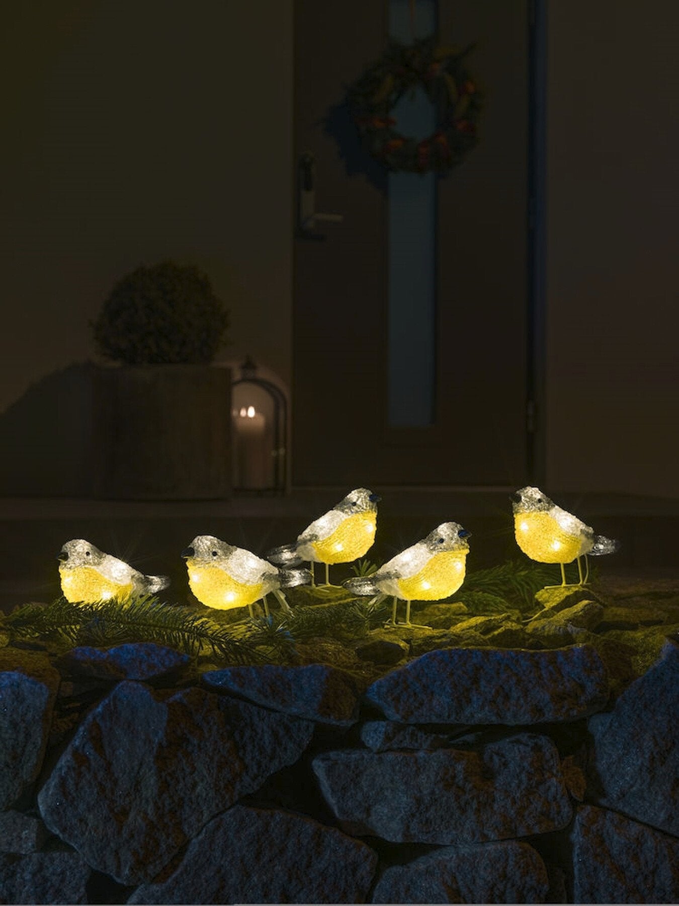 Acrylic Birds 5pcsSet White LED