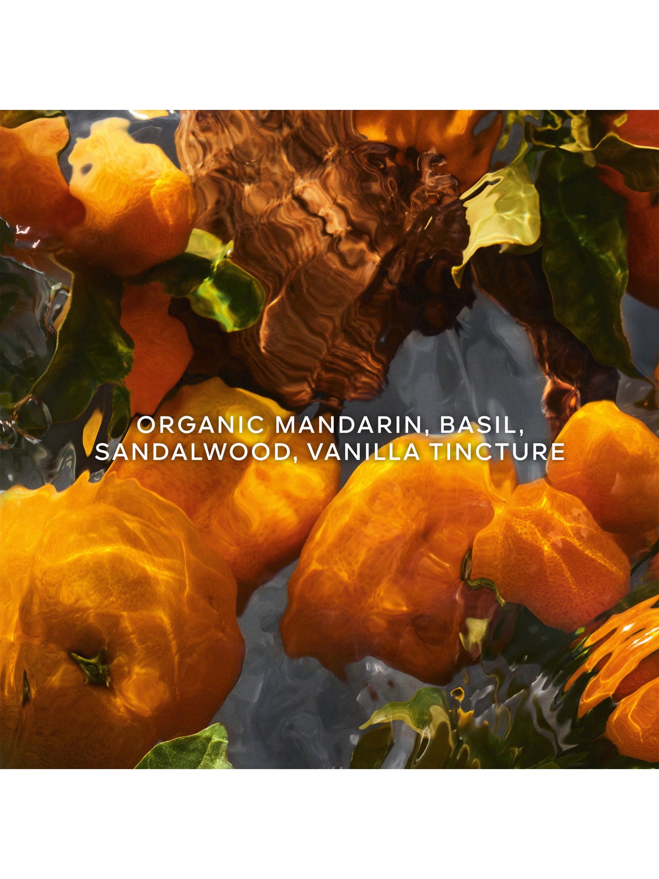 Aqua Allegoria Forte Mandarine Basilic Eau de Parfum Refill