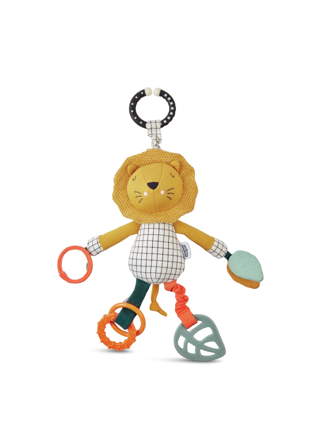 Wildly Adventures Educational Toy
