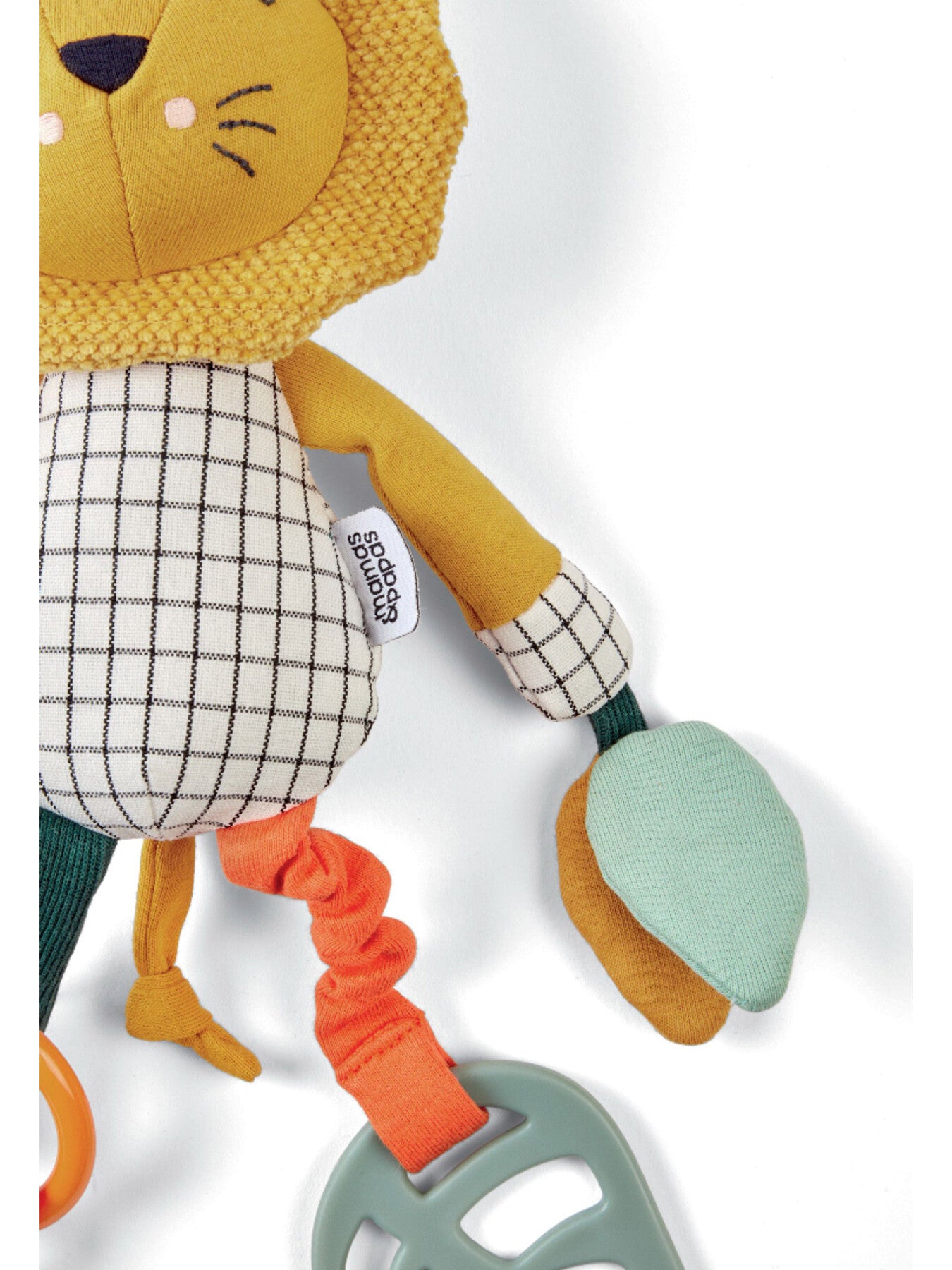 Wildly Adventures Educational Toy