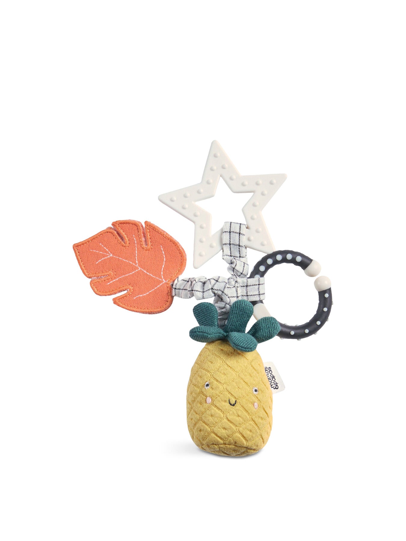 Wildly Adventures Educational Teething Toy