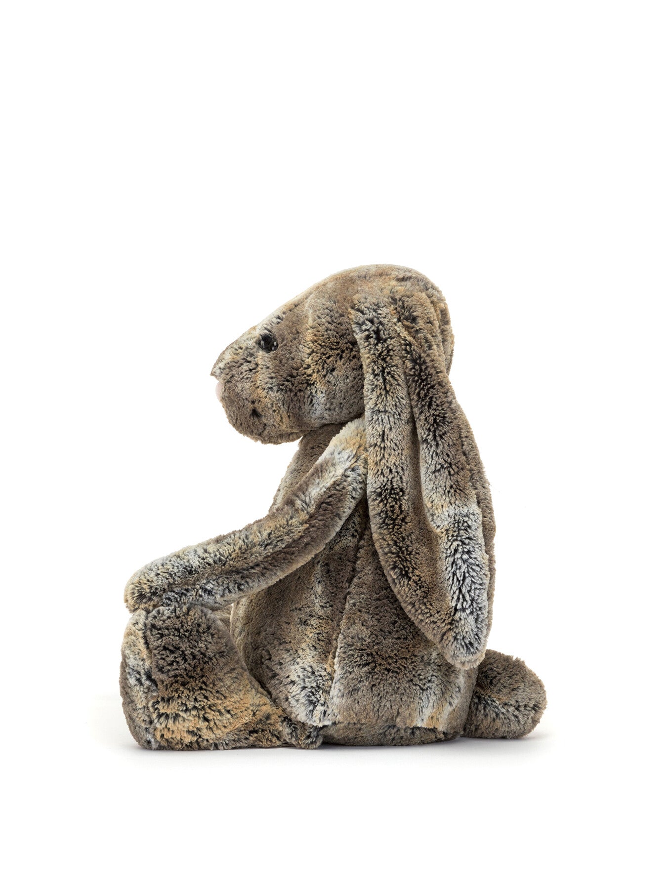 Bashful Cottontail Bunny Really Big