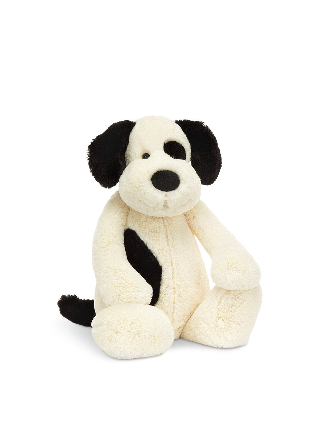 Bashful Black Cream Puppy Really Big