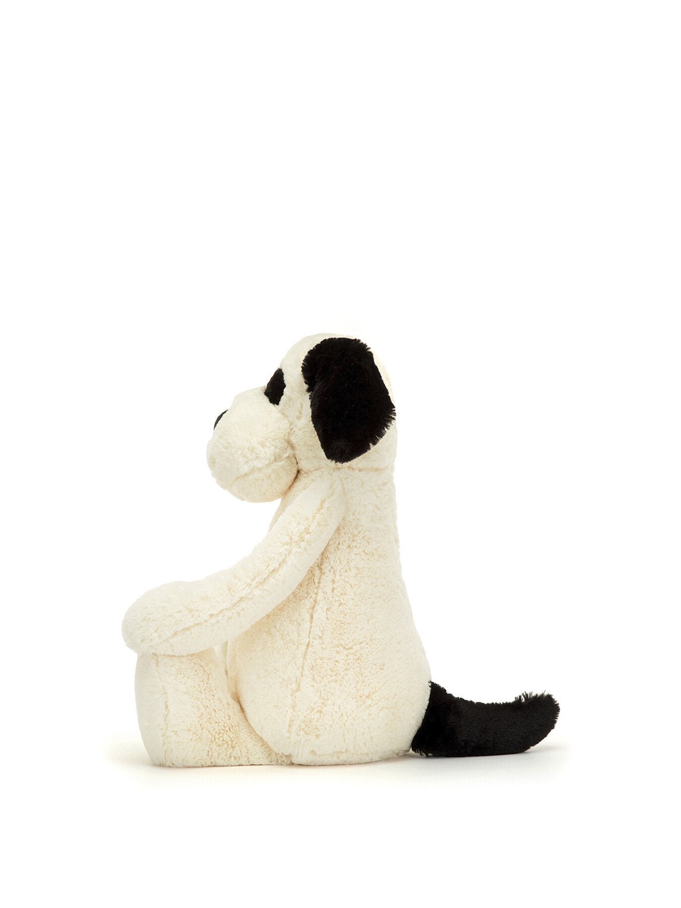 Bashful Black Cream Puppy Really Big