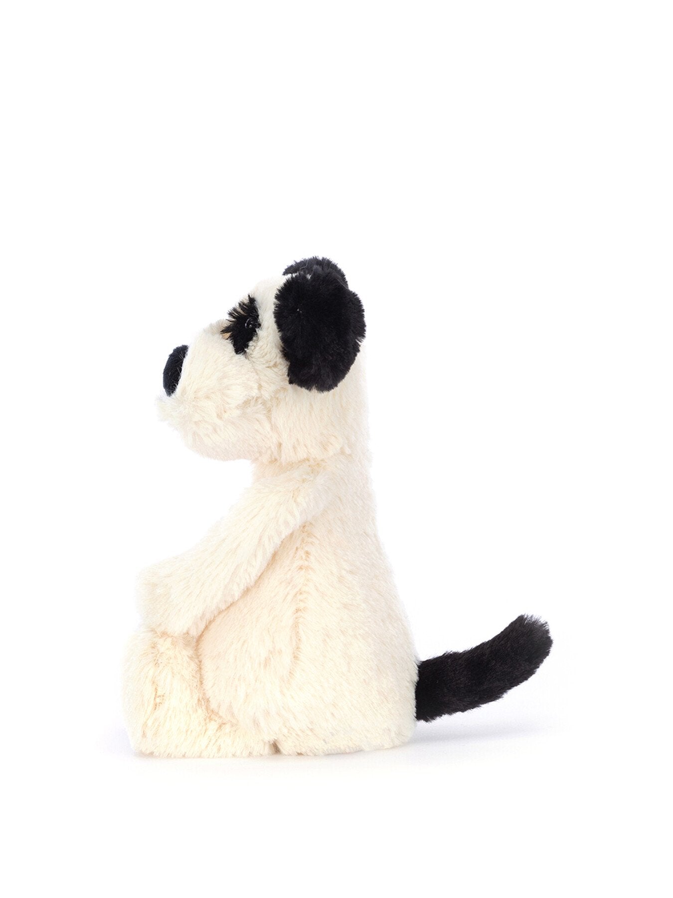 Bashful Black Cream Puppy Little Small