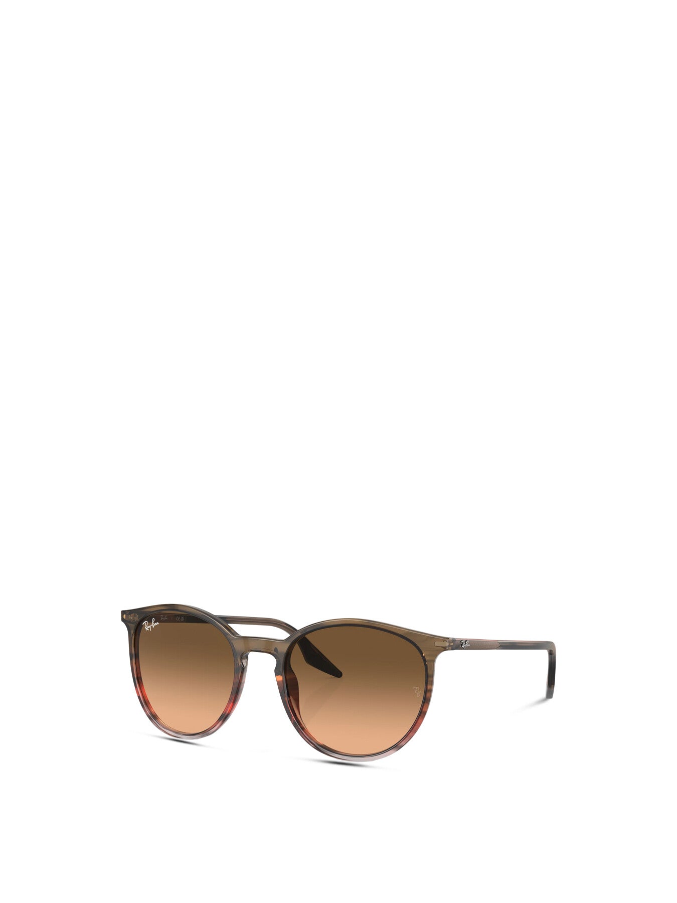 RB2204 Round Acetate Sunglasses