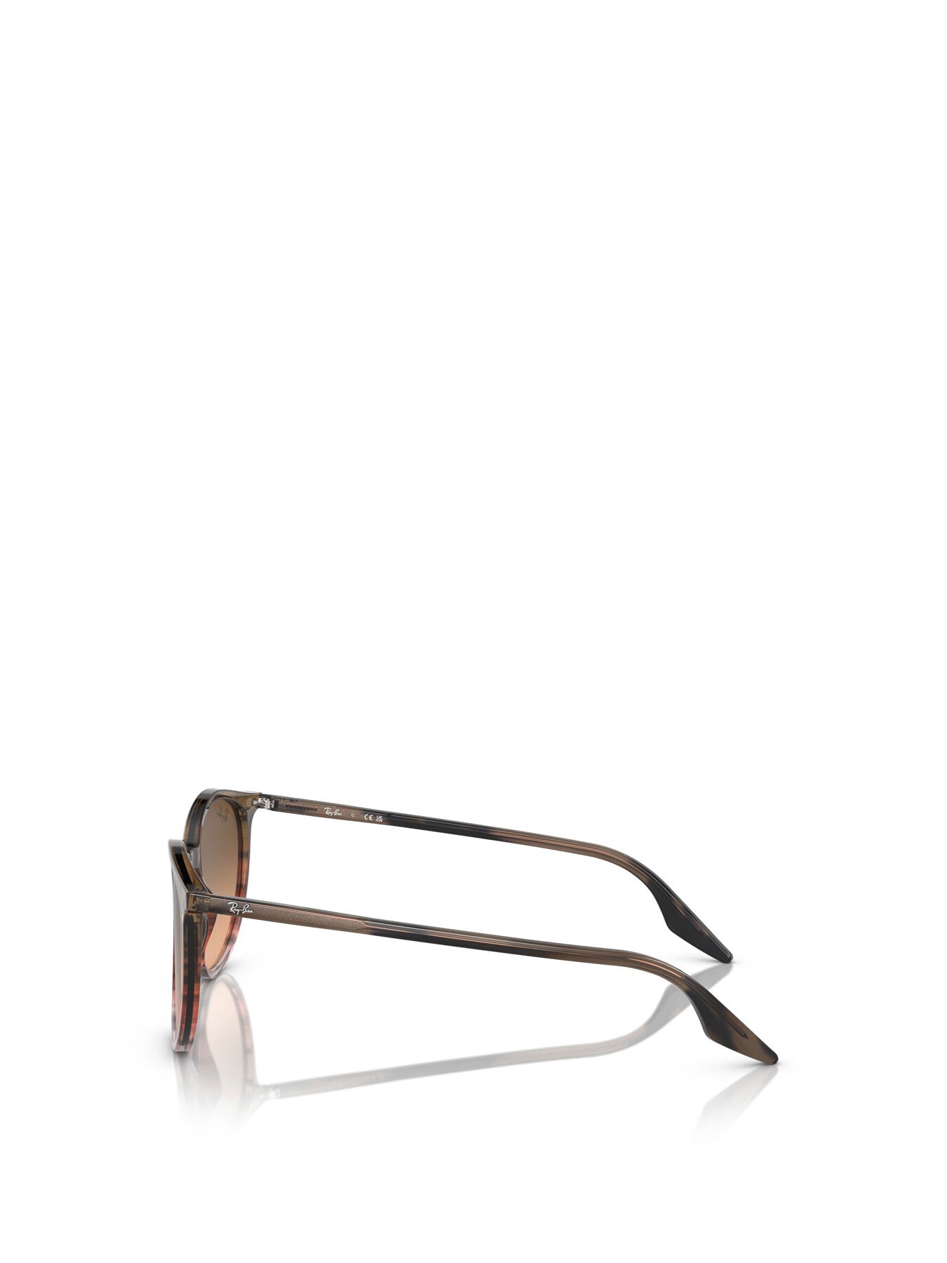 RB2204 Round Acetate Sunglasses