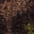 Camo Leo Jacquard, Tamarind