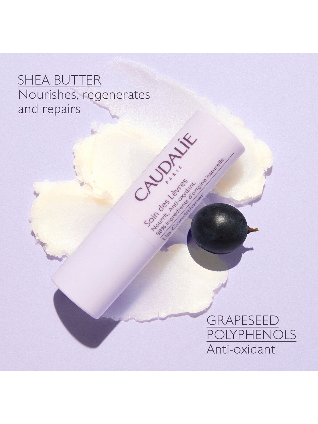 Lip Conditioner