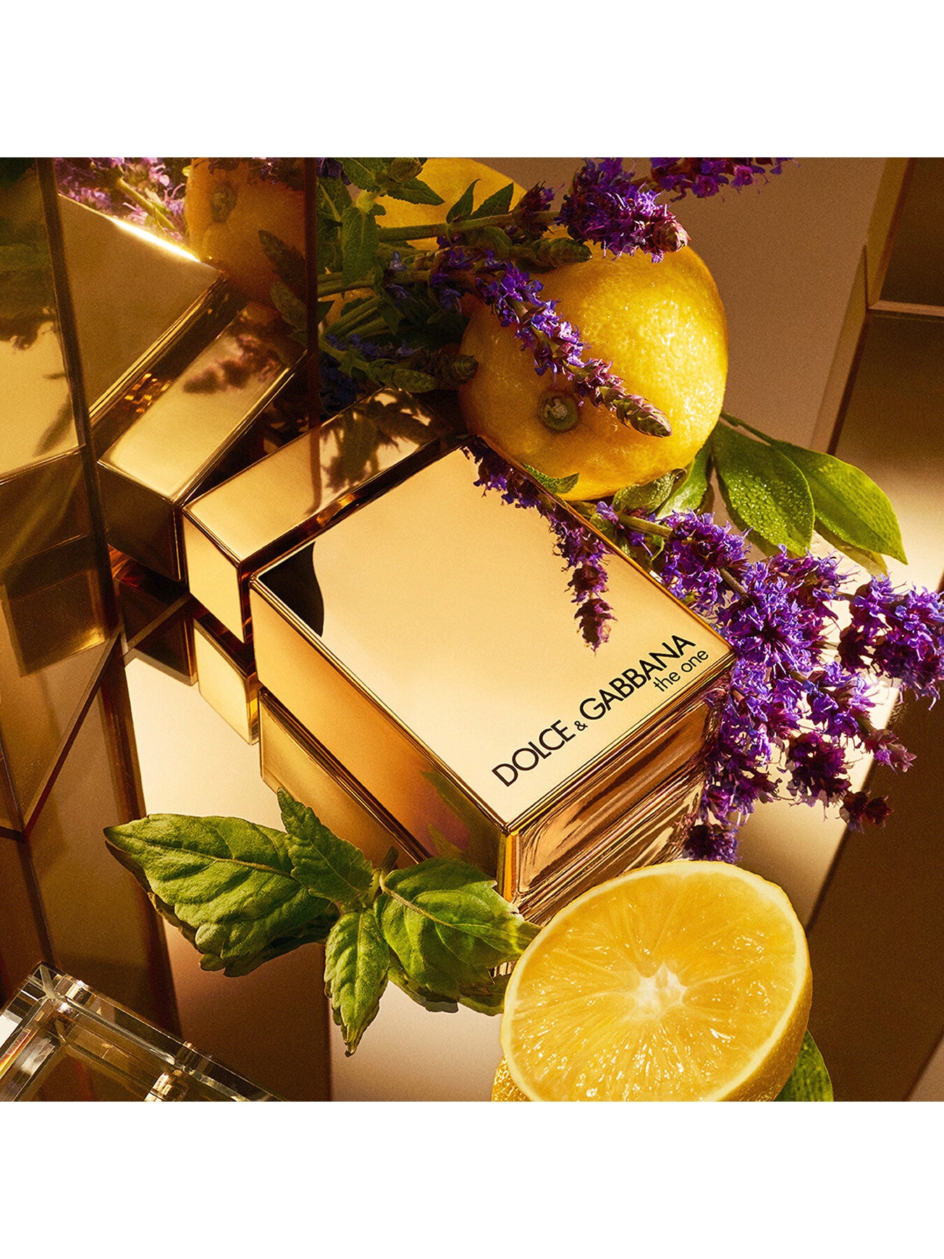 The One for Men Gold Eau de Parfum Intense 50ml
